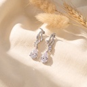 fly wing with drop zircon earrings