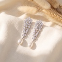 Long leaves with lulu zircon earrings 