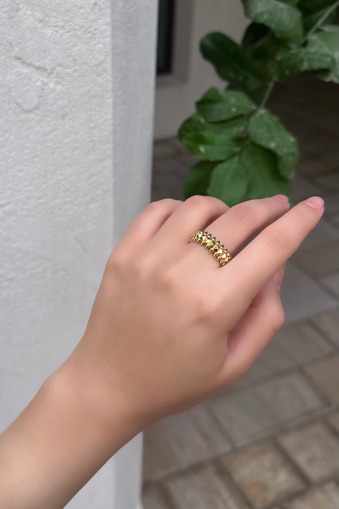 Spikes ring  (6)