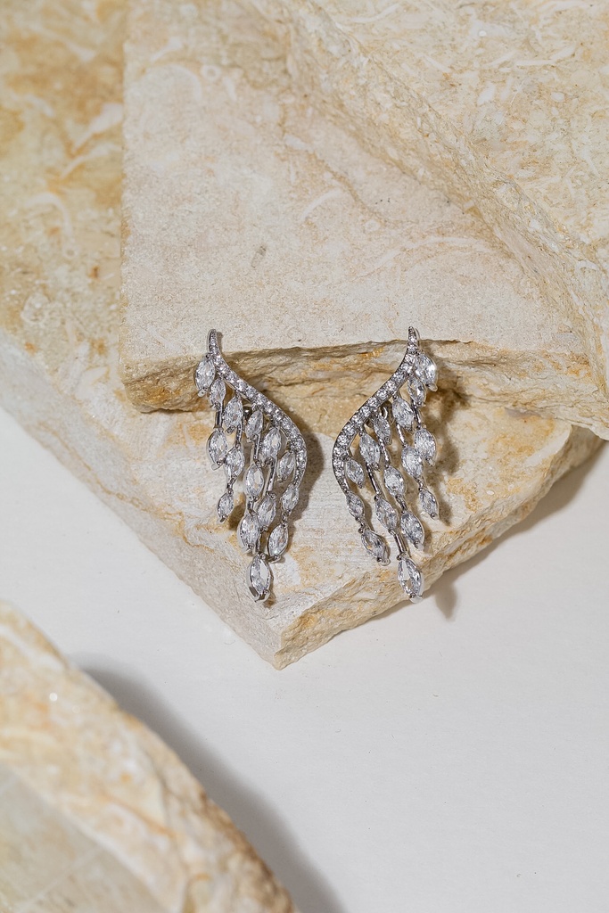 Wing zircon earrings 