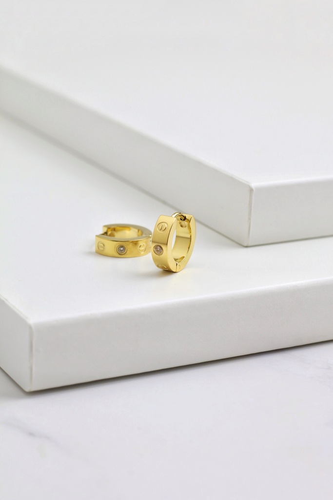 Smooth earrings with stone (gold)
