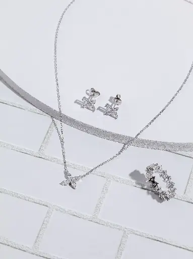 Elegant butterflies silver925 set